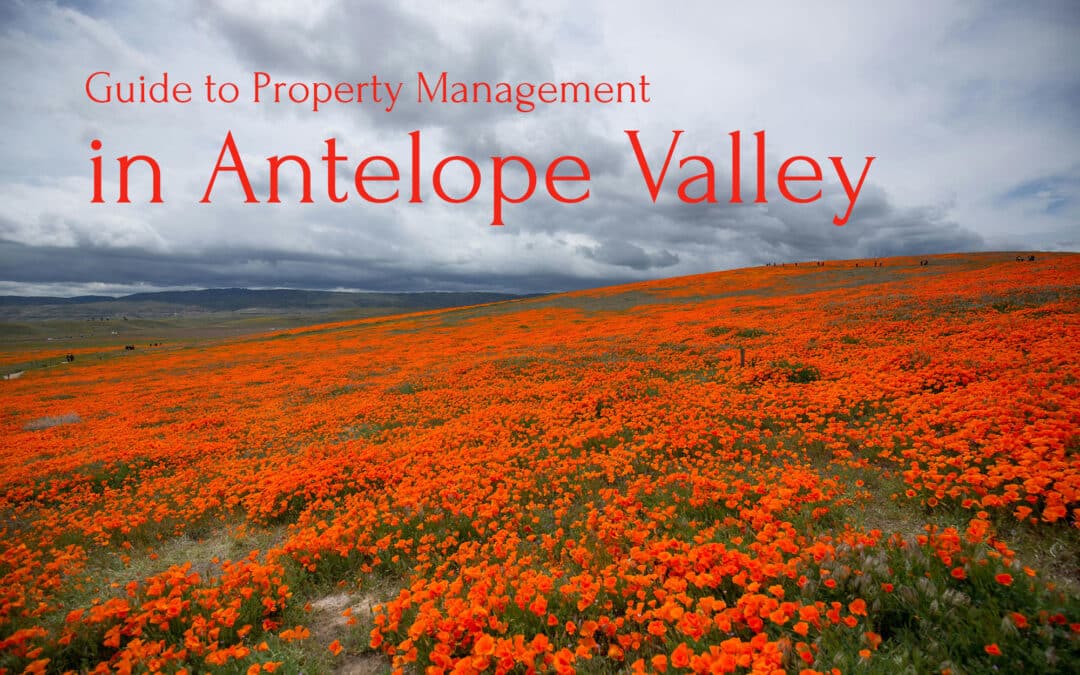 Comprehensive Guide to Antelope Valley Property Management