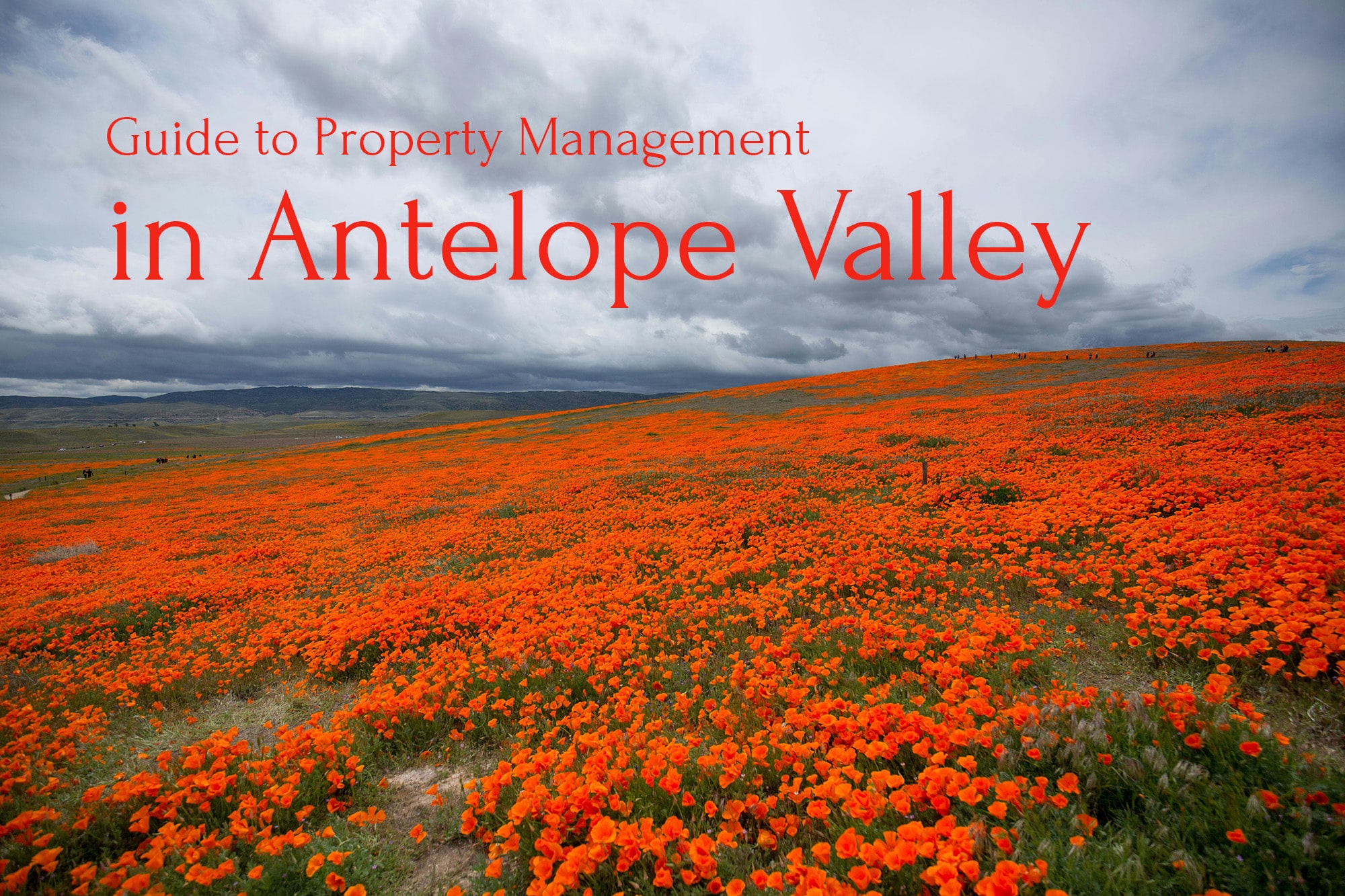 Property Management Antelope Valley